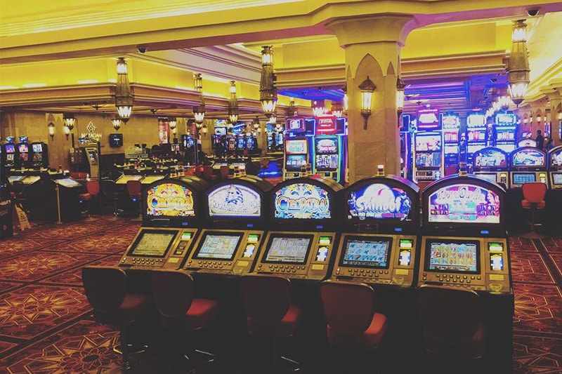 Playamo casino no deposit bonus