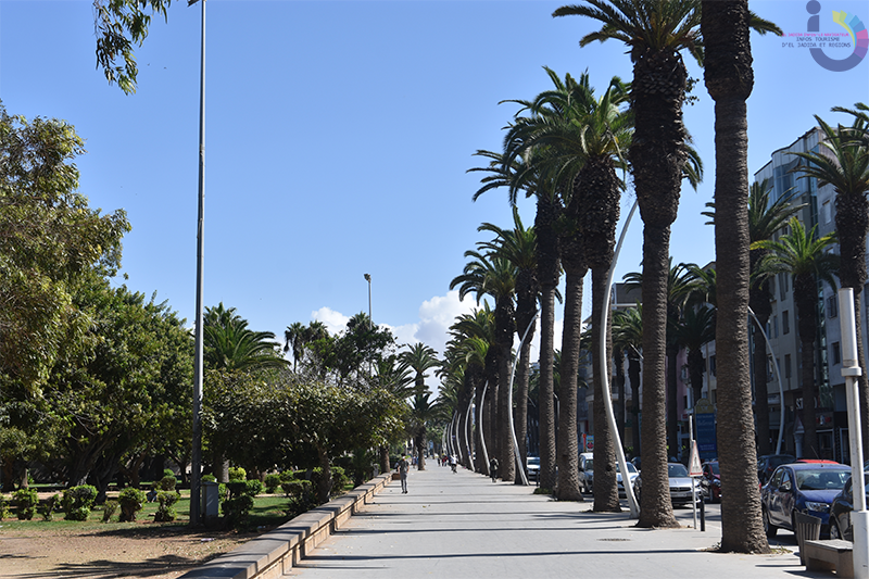 El Jadida : Avenue Mohammed VI