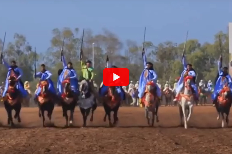 Infos Tourisme D'el Jadida : La Tbourida (Fantasia) Au Maroc