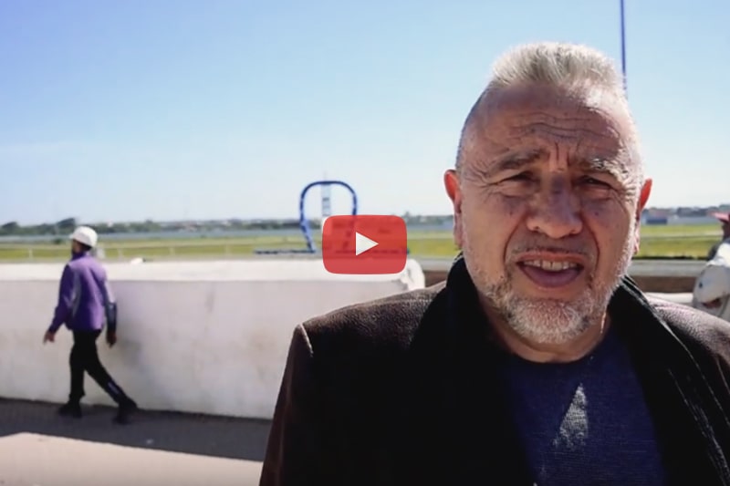 El Jadida : La Capitale Du Cheval